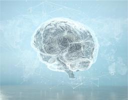 Your Data, Our Machine Learning