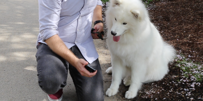 Voice-enabled search in action: Nestlé Purina and Acquia Labs