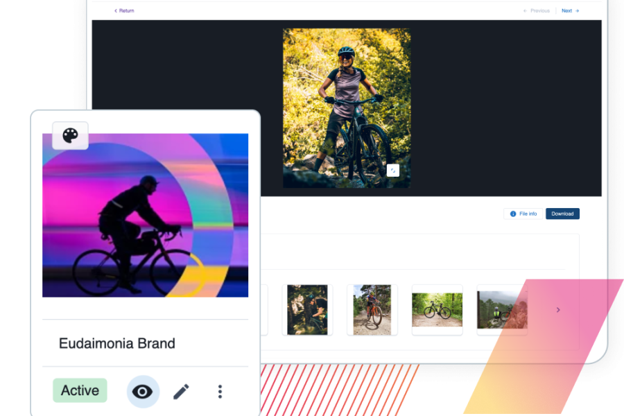 Overlapping screenshots pulled from the DAM product interface
