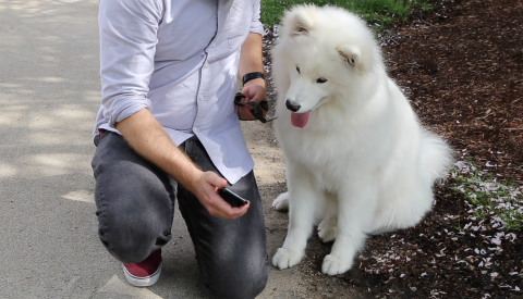 Voice-enabled search in action: Nestlé Purina and Acquia Labs