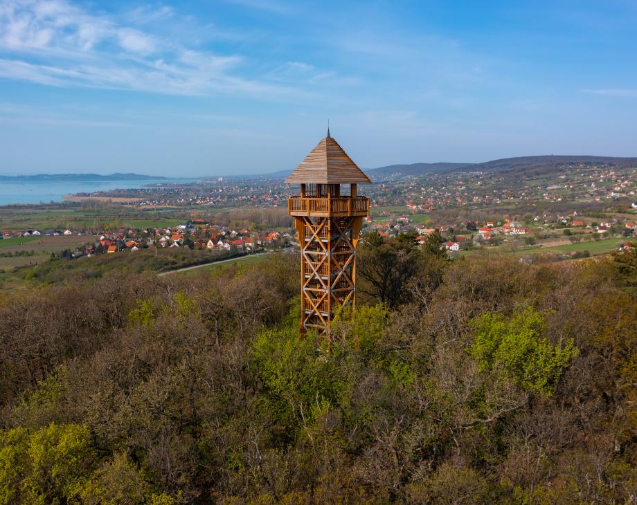 Watchtower on a wooded mountainside