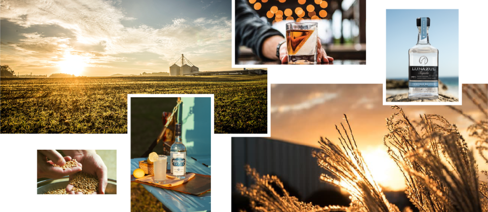 Collage of images showing fields and distillery